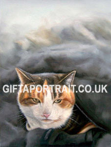 Cat Oil Painting