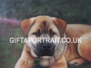Pet memorial painting